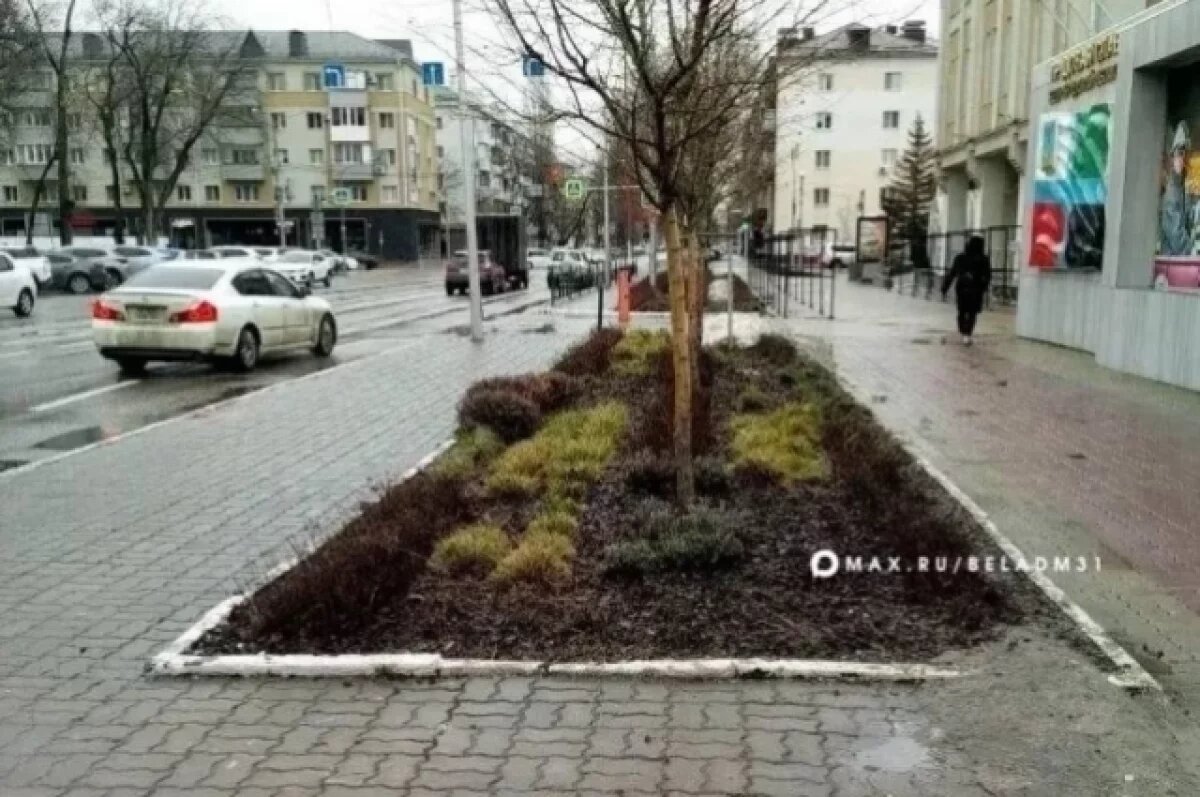    Финансирование конкурса по благоустройству «Белгород меняется» увеличится