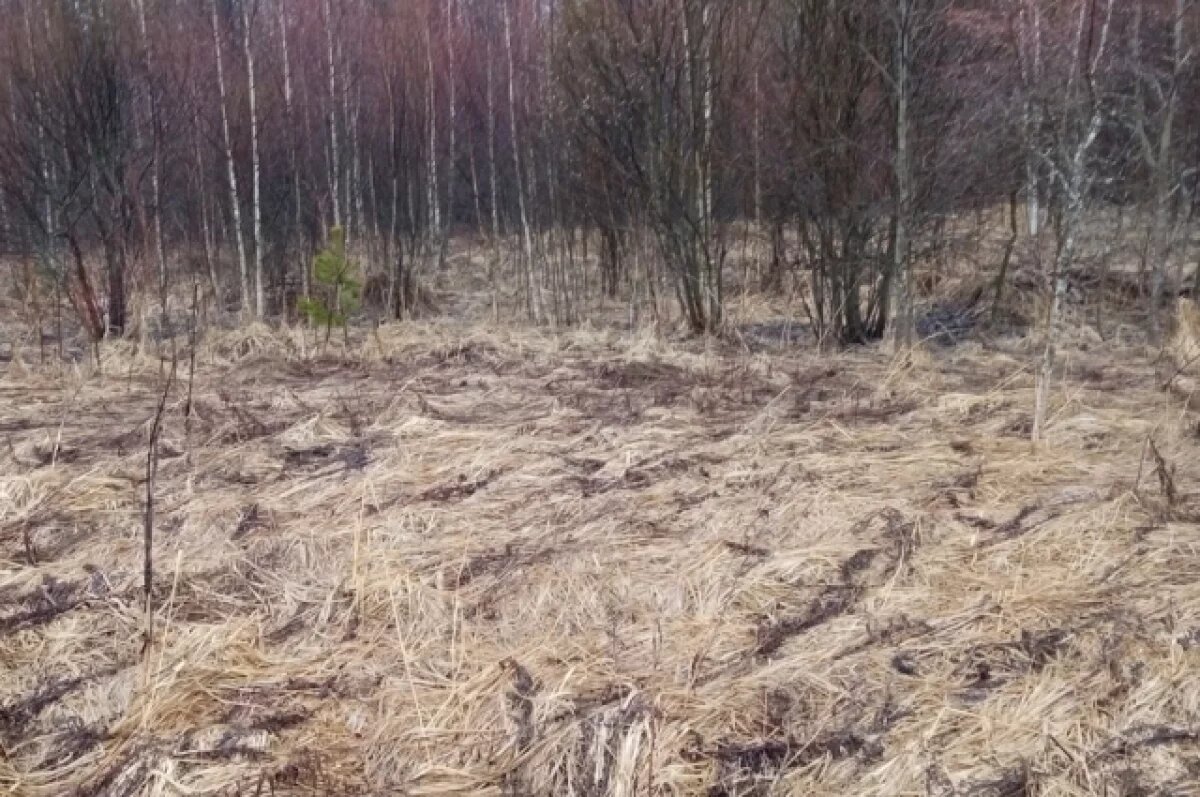    В Калужской области компанию оштрафовали за заросшие поля