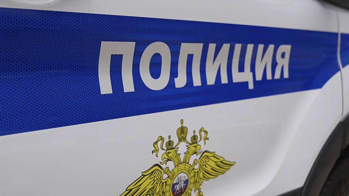    Полиция. © Портал «МВД Медиа»