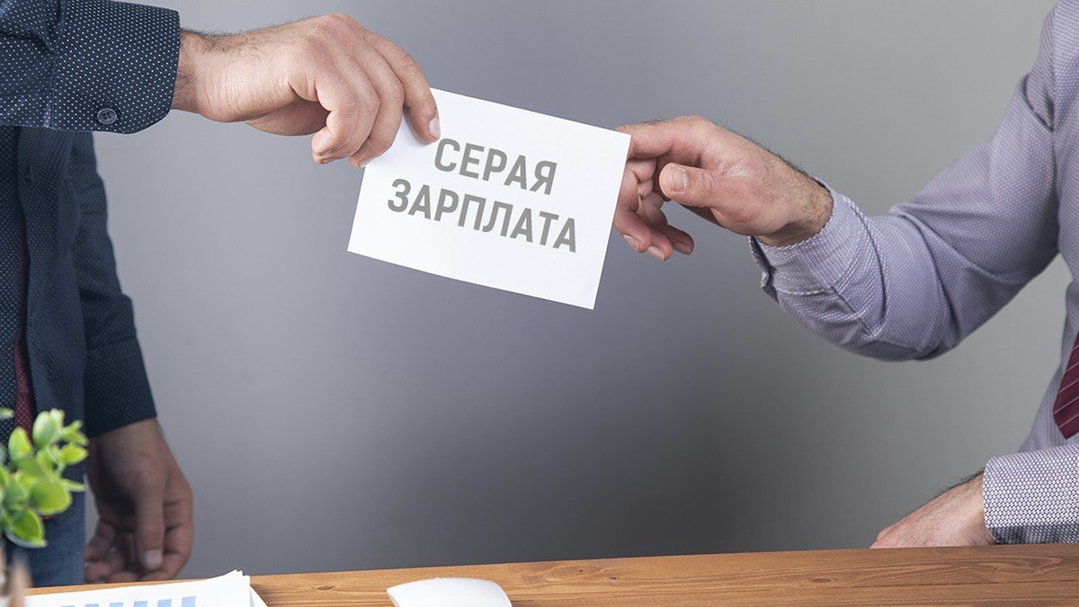 Система будет искать признаки неофициальной деятельности и потенциальных нарушений