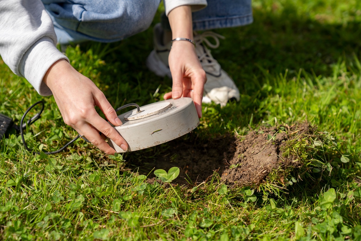   Фото: пресс-служба Субтропического научного центра РАН