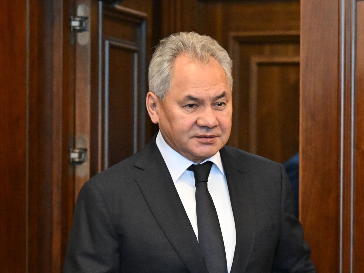    Секретарь Совета безопасности РФ Сергей Шойгу | © РИА Новости / Станислав Красильников