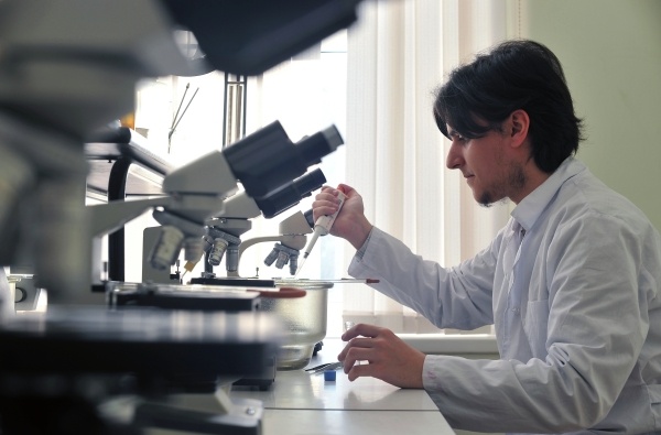 Фото: РИА Новости