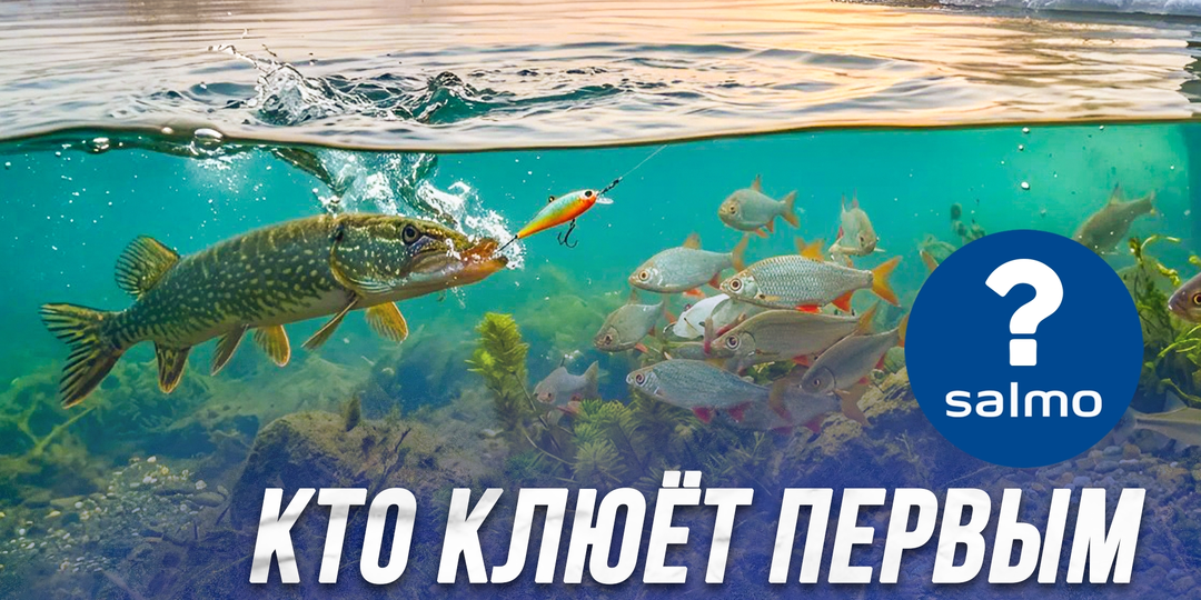 Кто клюет после схода льда первым