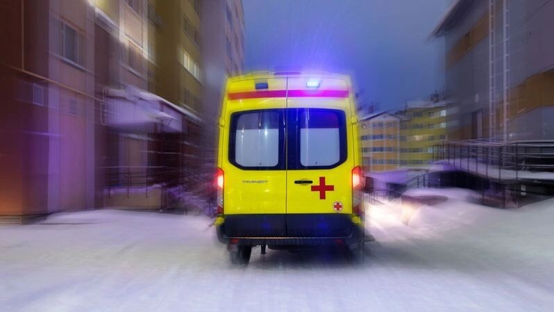    Фото: Федор Воронов/«Ямал-Медиа»