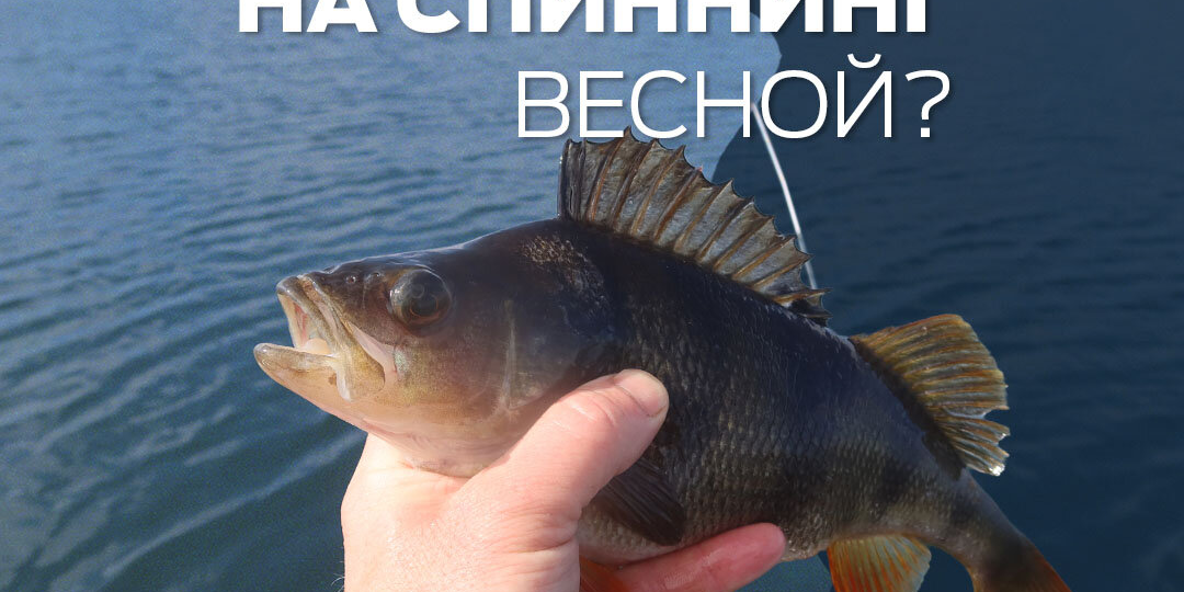 Тактика спиннинговой ловли весной