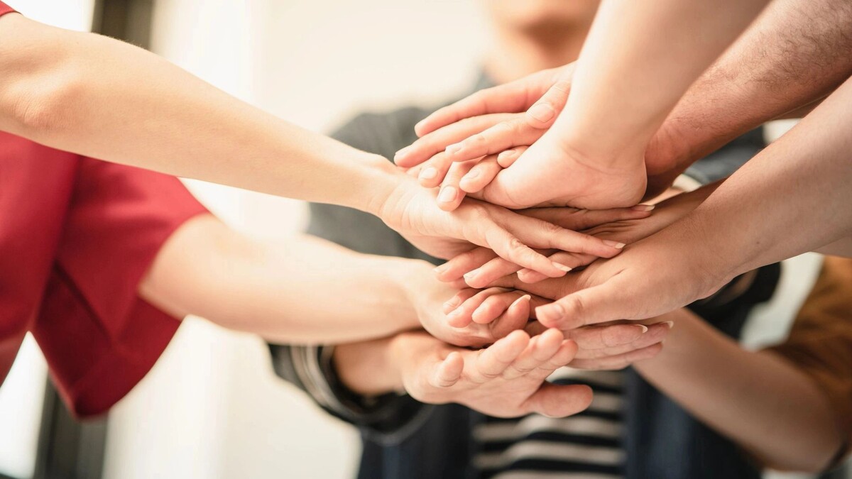    На Ямале на конкурсе поддержали семь проектов волонтеров. Фото: Chatchai.wa /Shutterstock/Fotodom