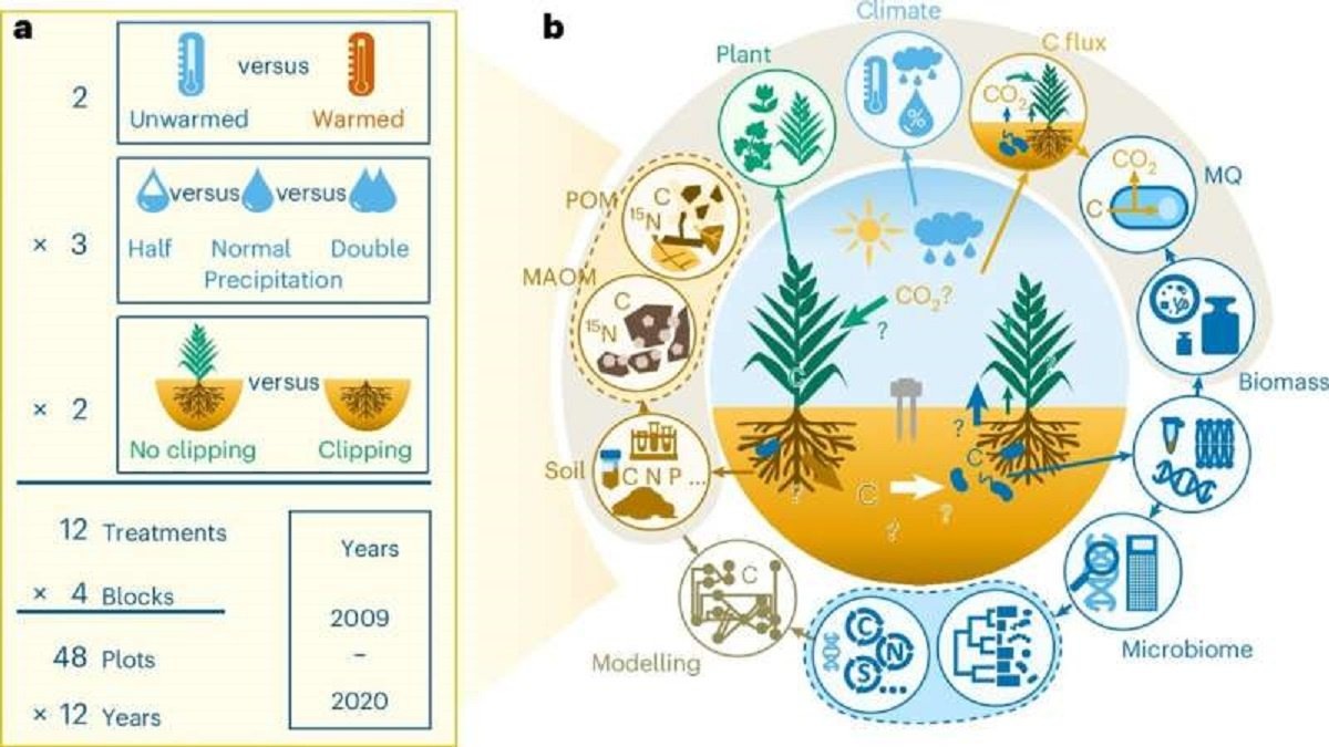    Графический экстракт исследования роли почвеной микробиоты в прогрессировании глобального потепления.
