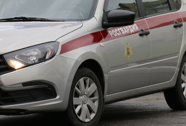 фото: Пресс-служба ФГКУ "УВО ВНГ РФ по г.СПб и ЛО