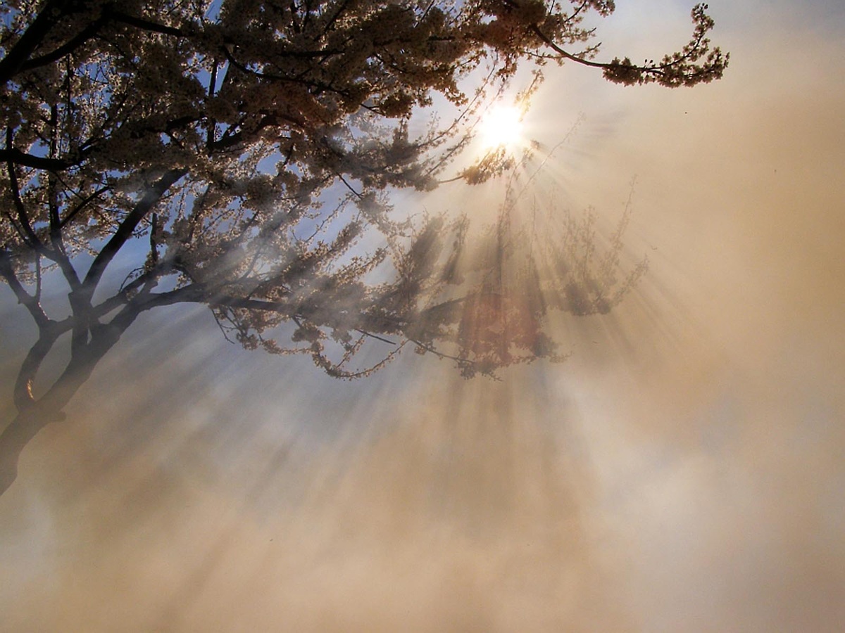 Битва эмпатов и нарциссов и выход из нее