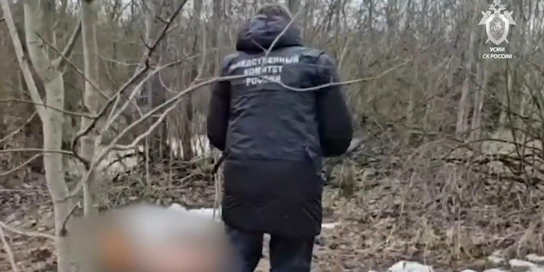 Стали известны подробности зверского убийства 17-летнего лицеиста из Пушина