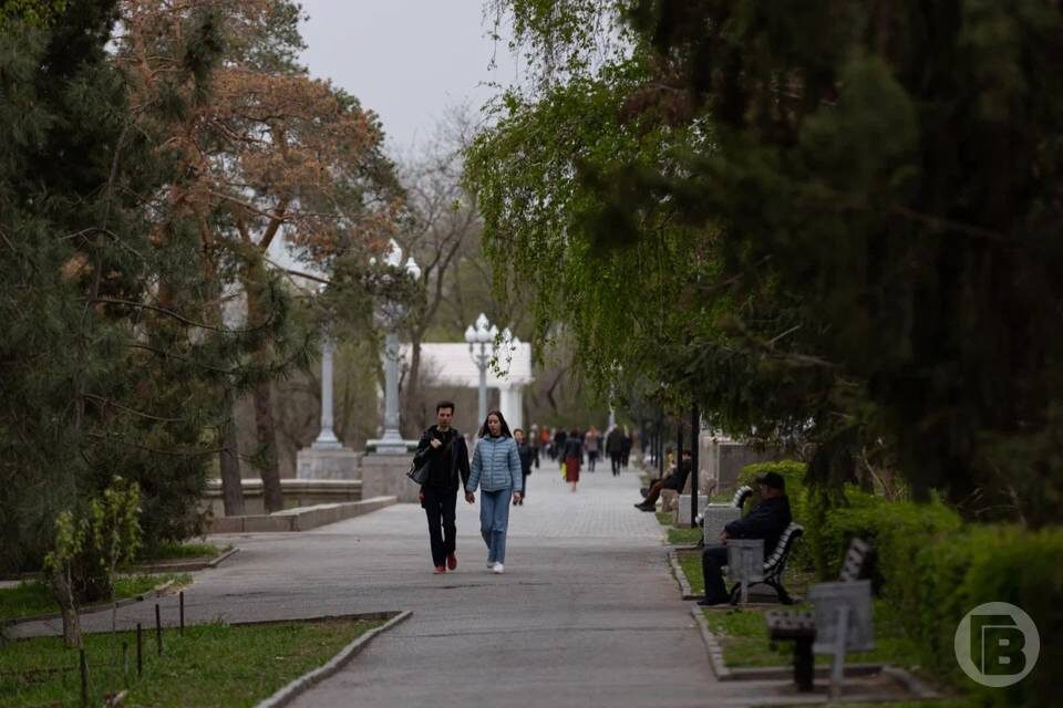    Фото: Дмитрий Рогулин/"Городские вести"