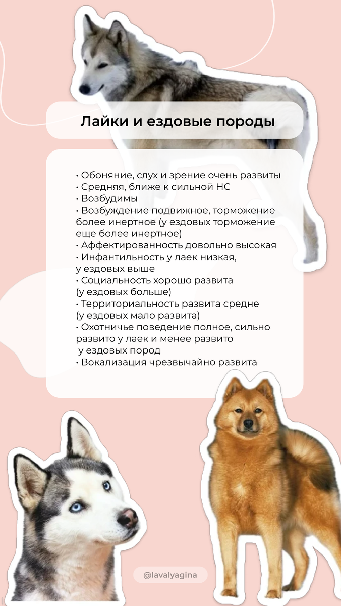 Листайте галерею, чтобы посмотреть разные группы пород