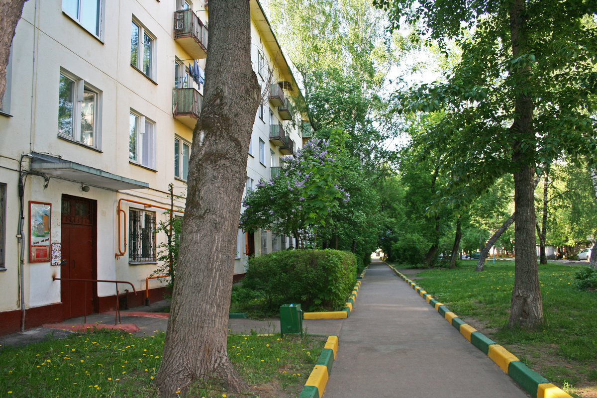 Наш дом и двор в Новогиреево