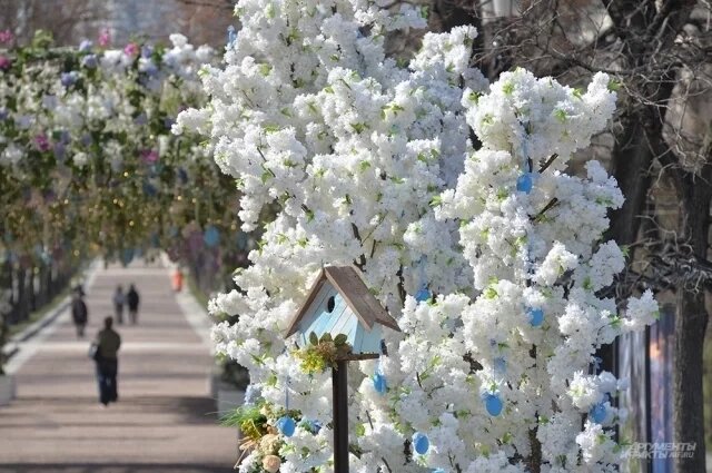    Какую погоду обещают в Черноземье на Пасху, 12 апреля?