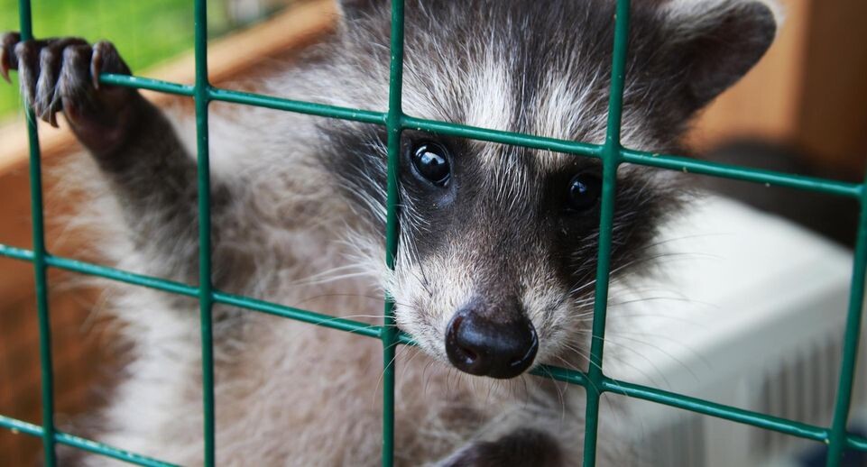    медиасток.рф