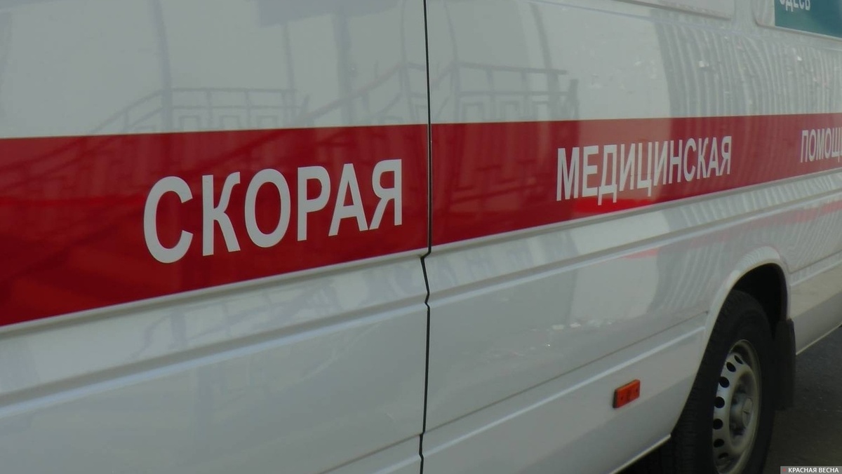     Скорая помощь   
Кульчицкий Александр © ИА Красная Весна