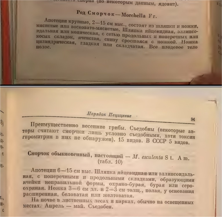 "Грибы СССР", 1980, издательство "Мысль"