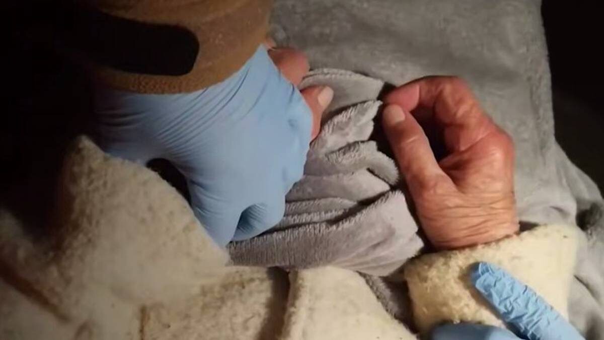    Фото: Скриншот с видео / РЕН ТВ / Telegram