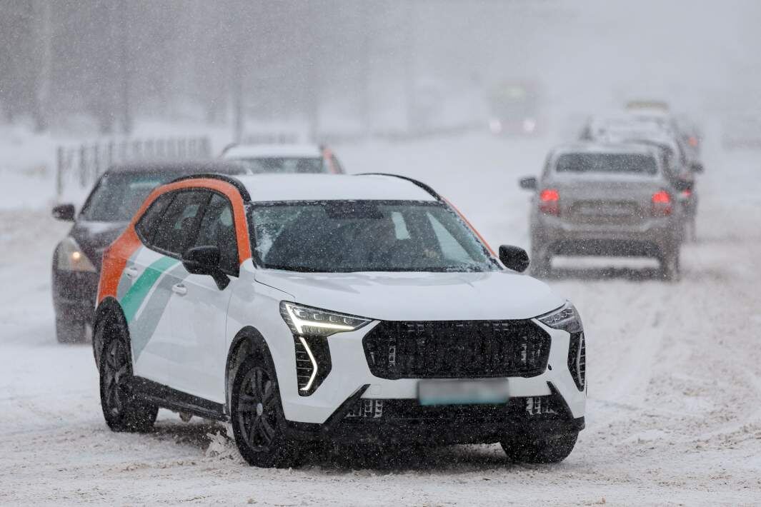 Фото: Global Look Press/Sergey Elagin