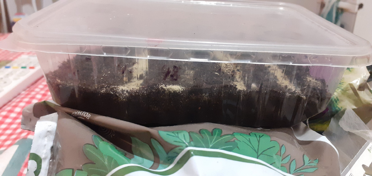 Вот так это выглядит.