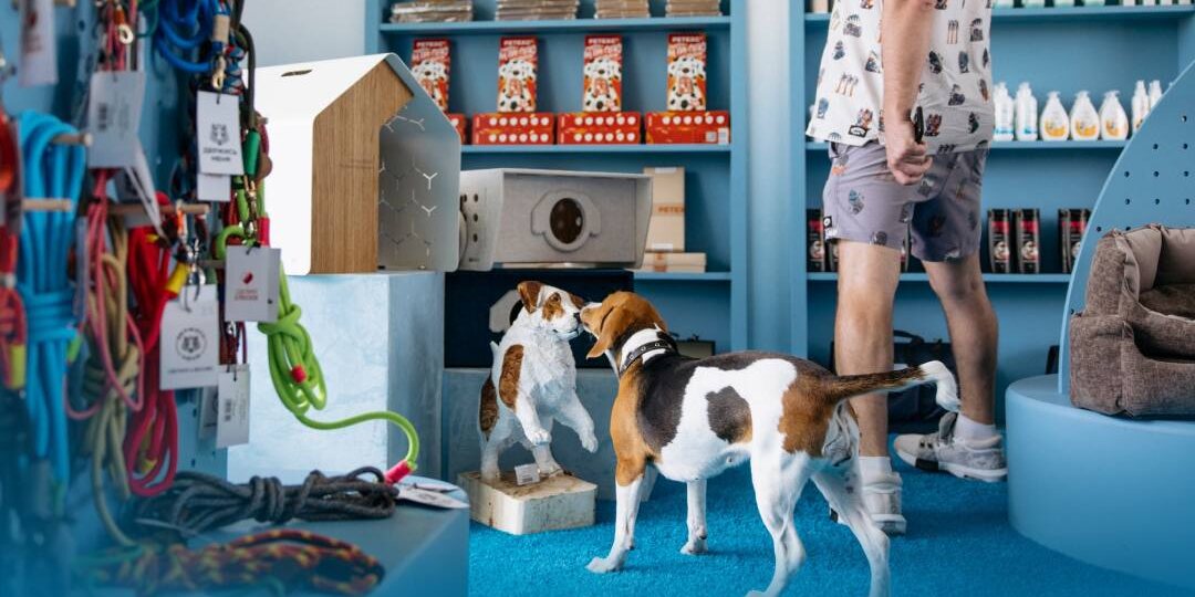 Москва любит собак - и делает для них всё по-настоящему