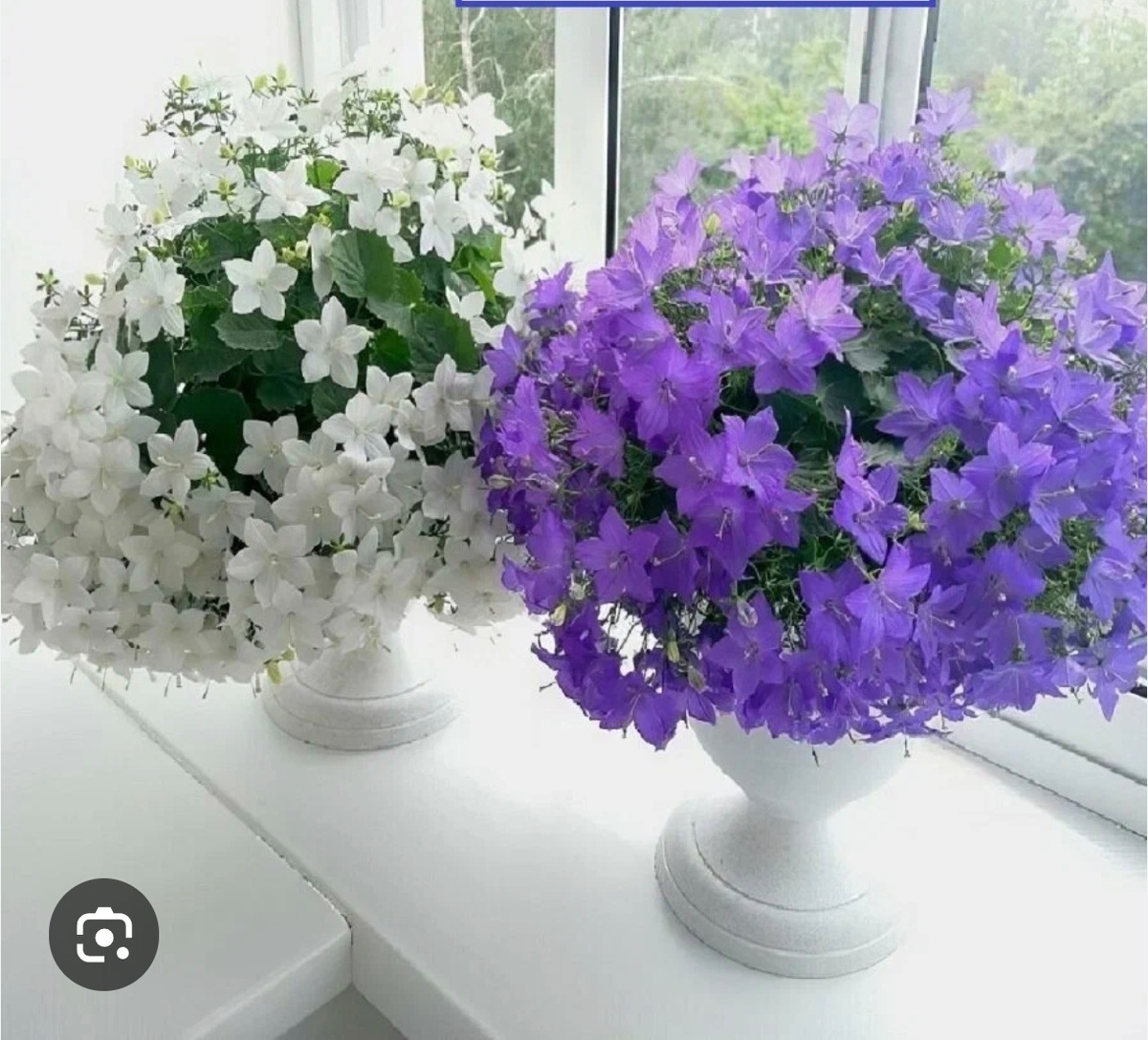 Фото взято из интернета для образца.