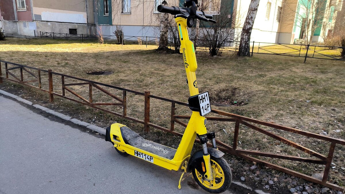    Фото: Maksim Konstantinov/globallookpress.com