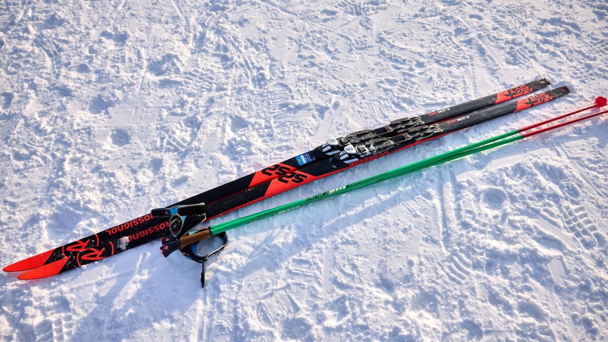    Фото: Юрий Здебский/«Ямал-Медиа»