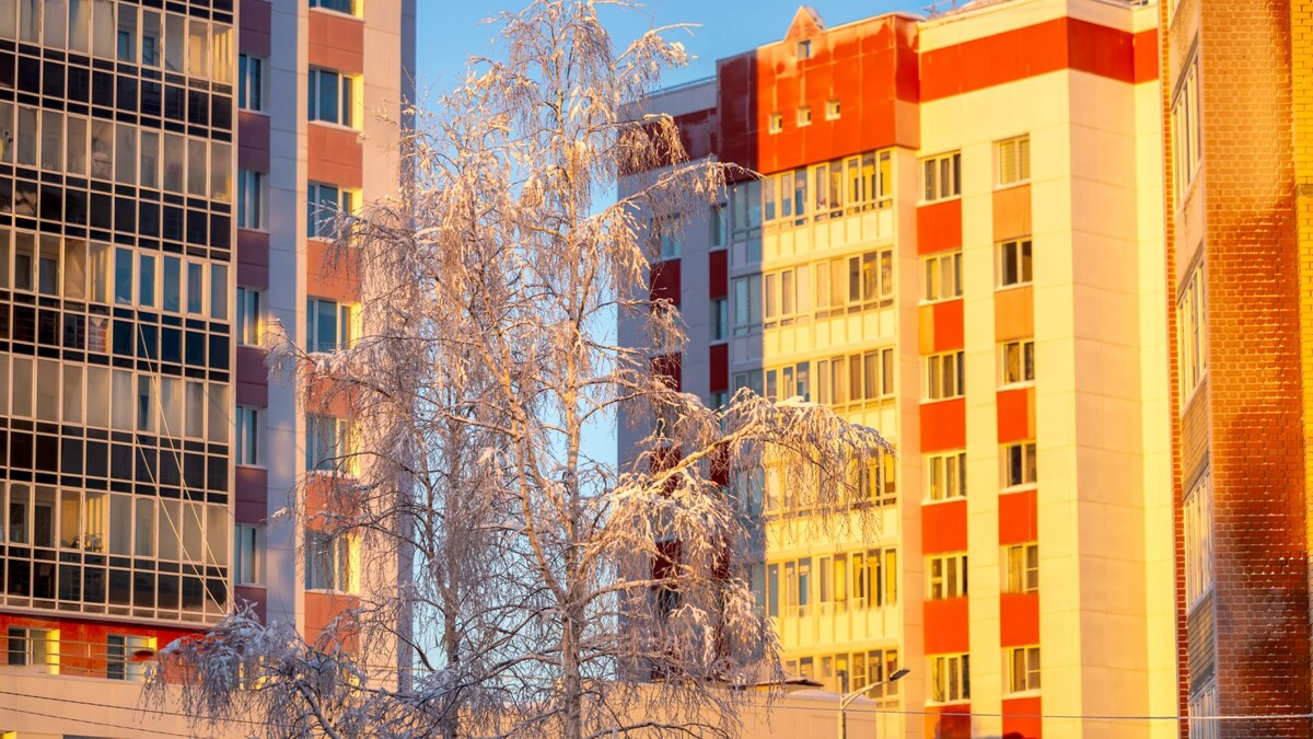    Фото: Фёдор Воронов / «Ямал-Медиа»