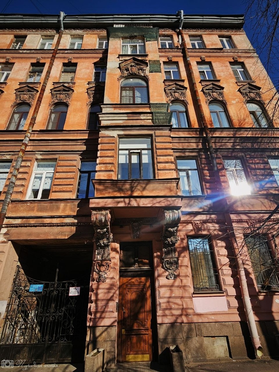 Дом греется в лучах весеннего солнца. Фото: Парадная гостья