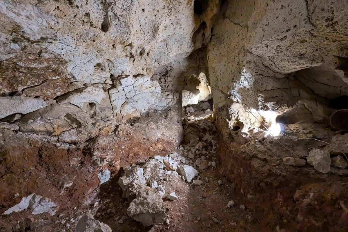    Полина Шмыгина