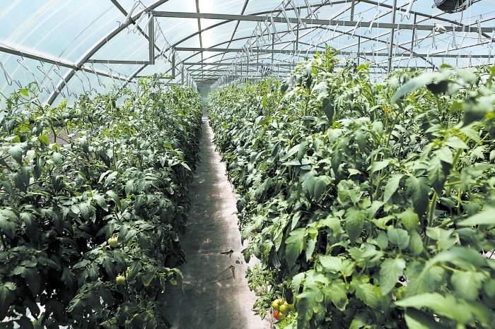    admkrai.krasnodar.ru