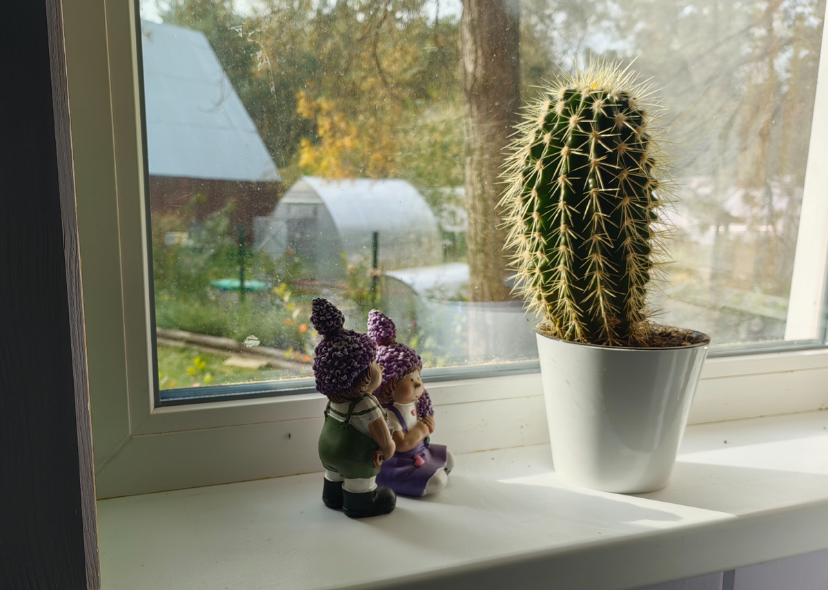 Садоводы, когда видят большую проблему.