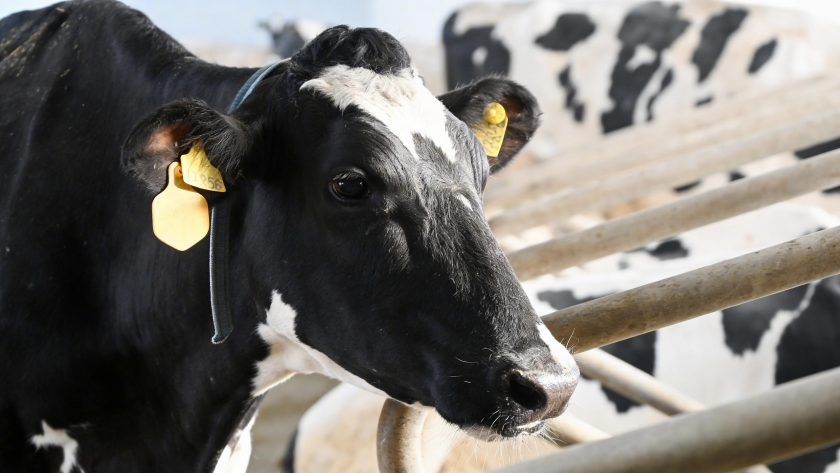    Игорь Онучин/ТАСС