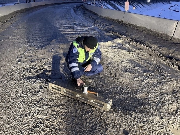     Фото: управление госавтоинспекции Орловской области