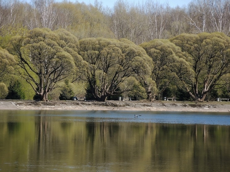   Наталья Мущинкина