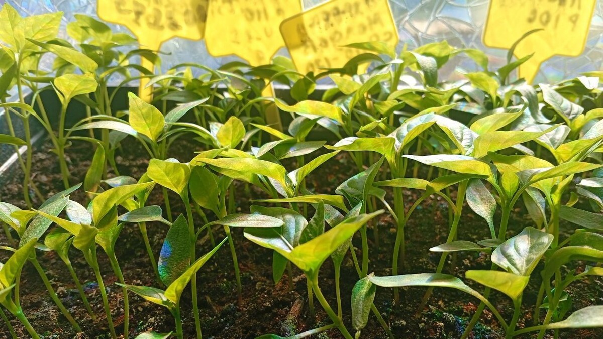    Фото: читательница «МОЁ!»