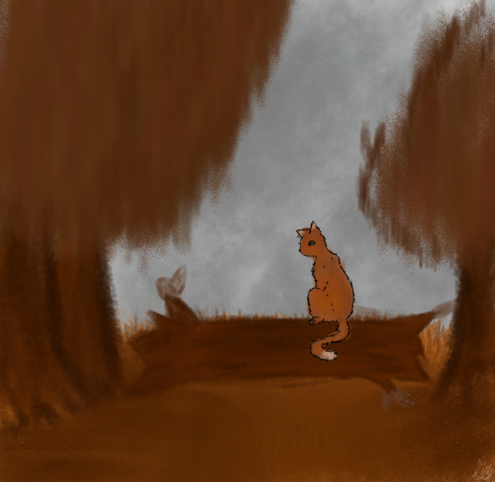 Белка Коты-воители.