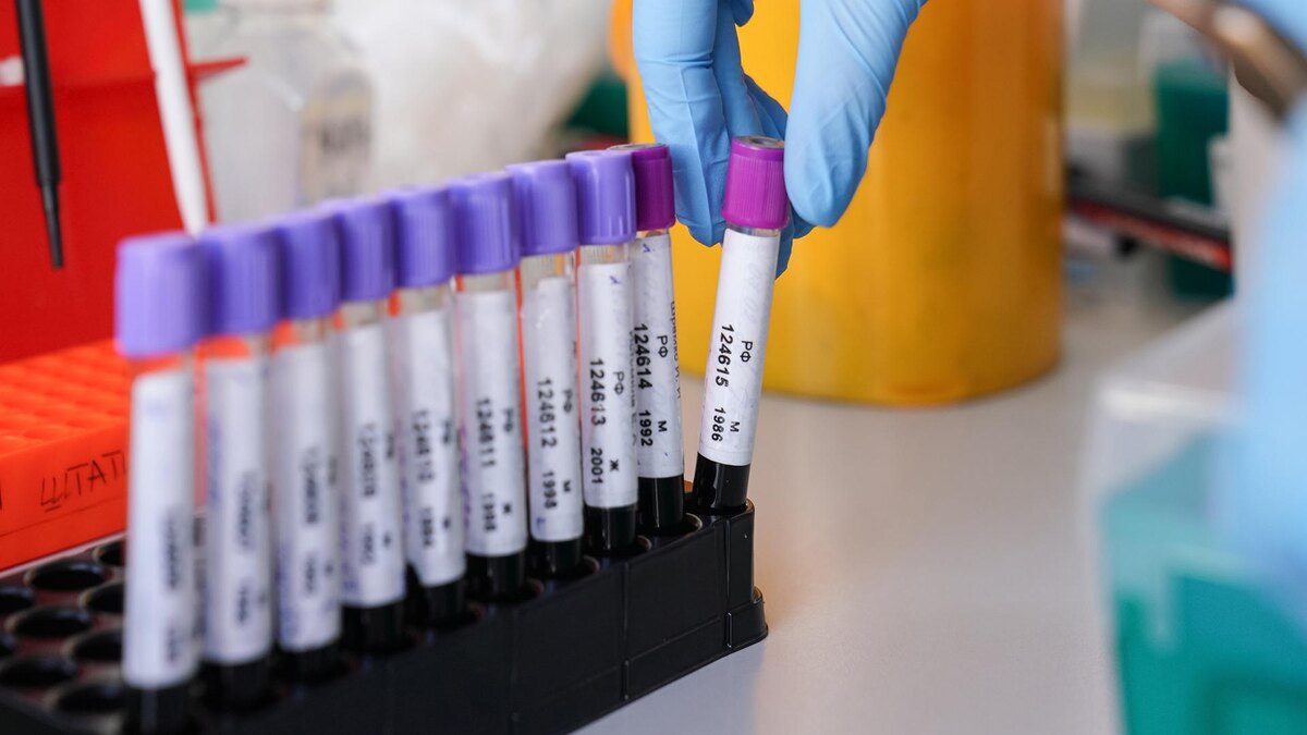    Фото: ИЗВЕСТИЯ/Анна Селина