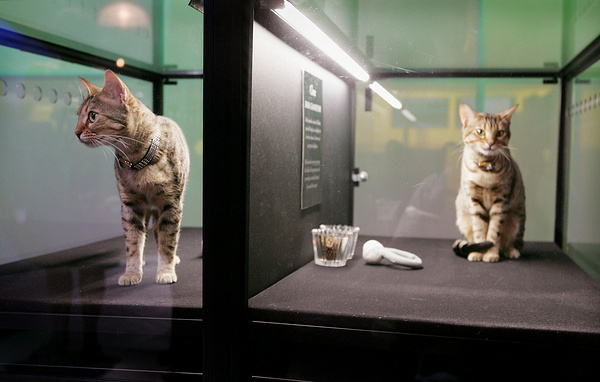 Scott Olson/Getty Images