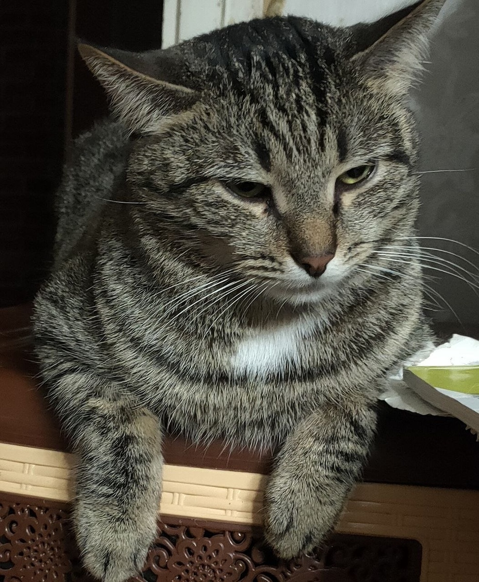 Ну, рассказывай!