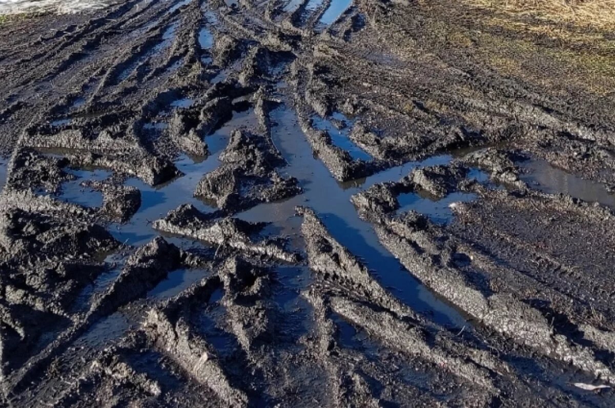    Разбитые грузовиками дороги в Пермском крае привели к уголовному делу