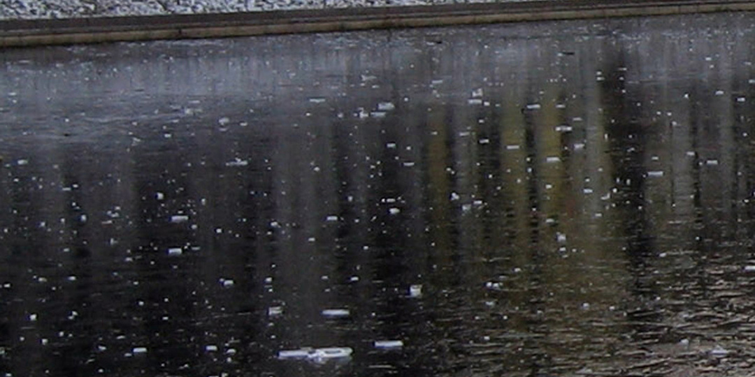 Прохожие спасли мужчину, съехавшего в пруд на инвалидной коляске