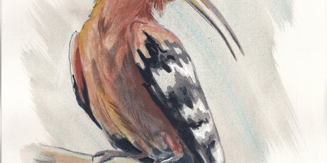 Четыре птицы, которые гнездятся на вулканах Тамани: кто они?