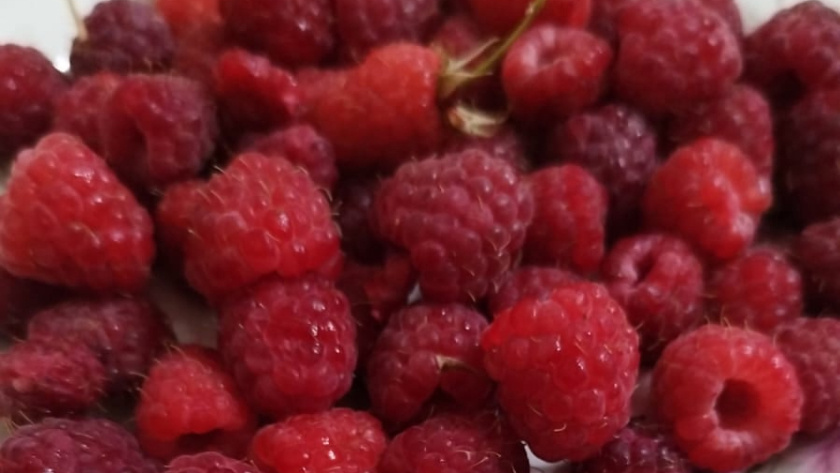    фото smilekaluga.ru