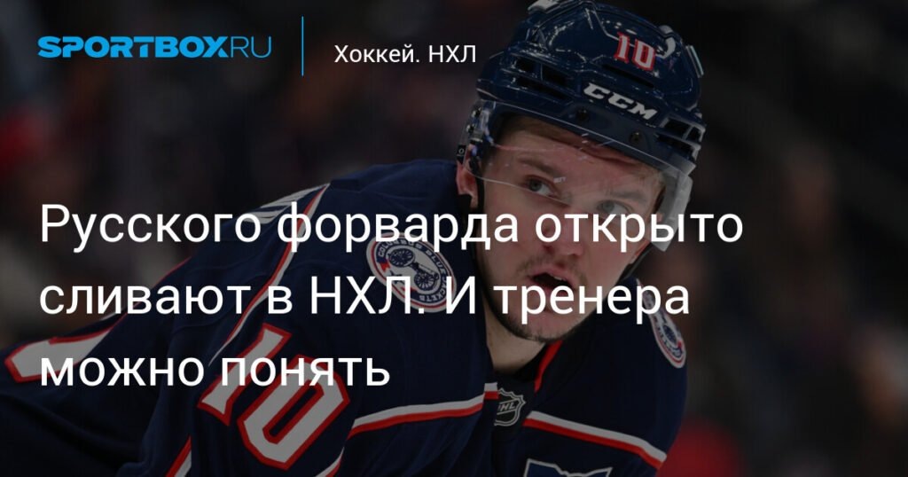    Форвард из России Дмитрий Воронков теряет место в составе «Коламбуса» (источник изображения) News Express Team