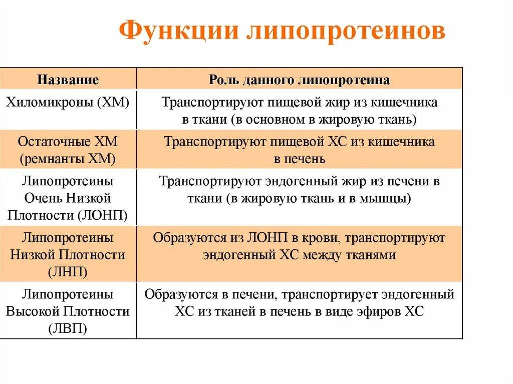 Функции липопротеинов