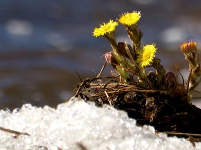    Фото: ГТРК "Карелия"
