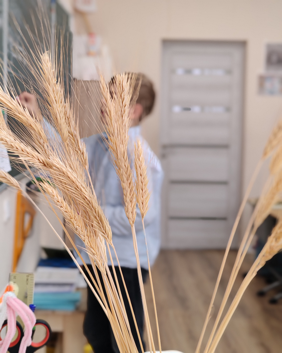 На уроке арифметики. 